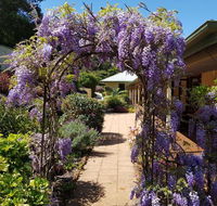 Gumtree House Montville - Accommodation Redcliffe
