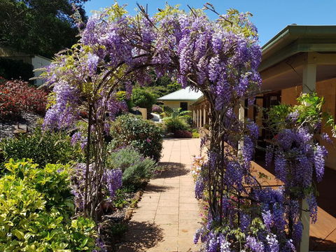 Gumtree House Montville - Accommodation Redcliffe 0