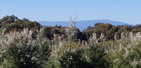 Hideaway Valley Farm - Accommodation Redcliffe 1