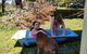 Hideaway Valley Farm - thumb 3