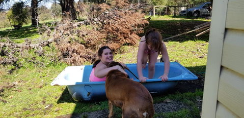 Hideaway Valley Farm - Accommodation Redcliffe 3