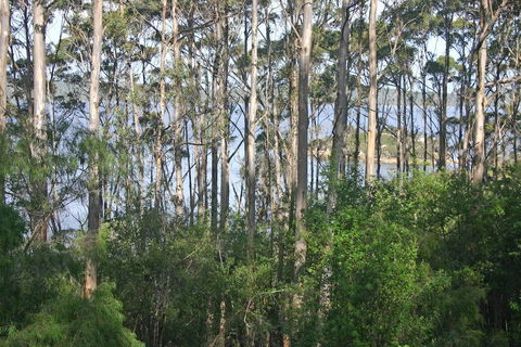 Honeymoon View - Accommodation Redcliffe 2