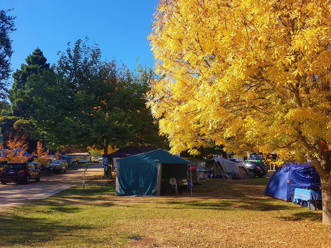 Jamieson Caravan Park - Accommodation Redcliffe 2