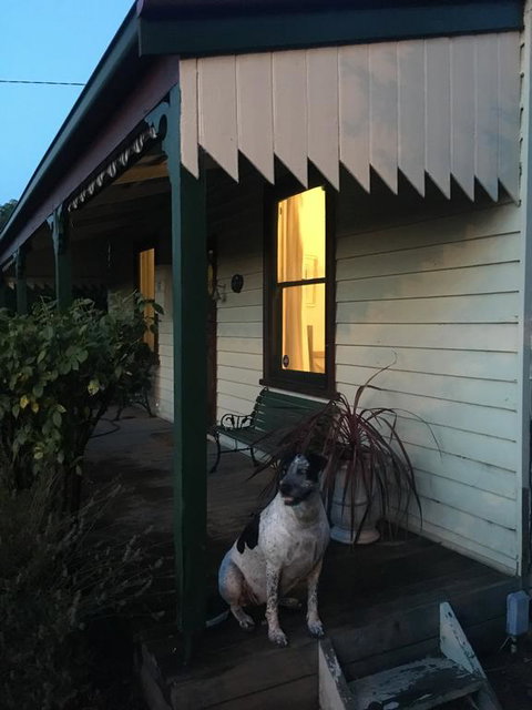 Kaikora Seaside Cottage - Accommodation Redcliffe 1
