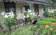 Kaikora Seaside Cottage - thumb 3