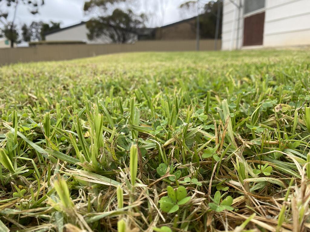 Pinnaroo SA Accommodation Redcliffe