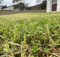 Karoonda Accommodation - Accommodation Redcliffe