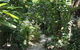 Kulki Beach House - thumb 3