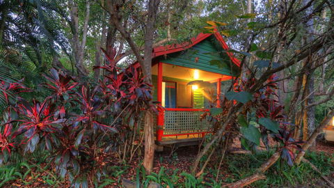 Lake Eacham Tourist Park & Cabins - Accommodation Redcliffe 3
