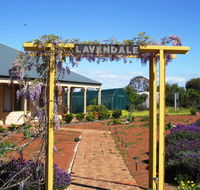 Lavendale Farmstay and Cottages York - Accommodation Redcliffe