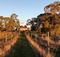 Lillicur Vineyard BB - Accommodation Redcliffe