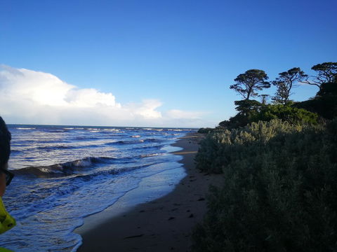 Lily Family - Accommodation Redcliffe 2