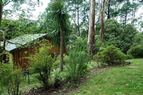 Luxury Forest Retreat - Puffing Billy - Accommodation Redcliffe 2
