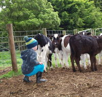Manderley Park Farmstay BB - Accommodation Redcliffe