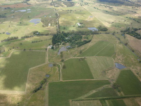 Mayfield Vineyard - Accommodation Redcliffe 0
