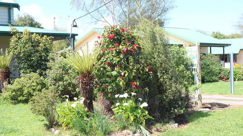 Meredith House & Apartments Strahan - Accommodation Redcliffe 1