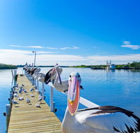 Moby Dick Waterfront Resort Motel - Accommodation Redcliffe