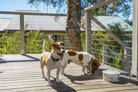 Monigatti - Accommodation Redcliffe 3