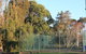 Mt Gambier International - thumb 2