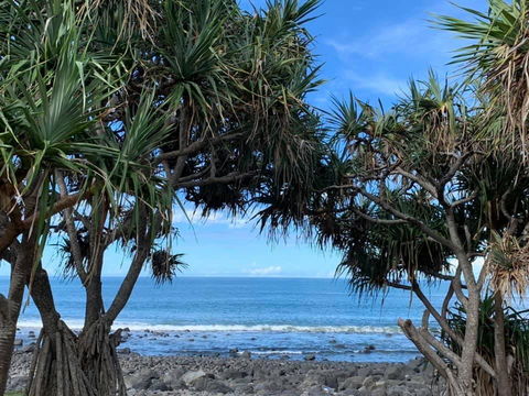 Nautilus Beachside Apartments - Accommodation Redcliffe 3