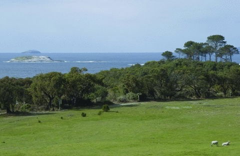 Cosy Corner Sea View Apartments - Accommodation Redcliffe 7