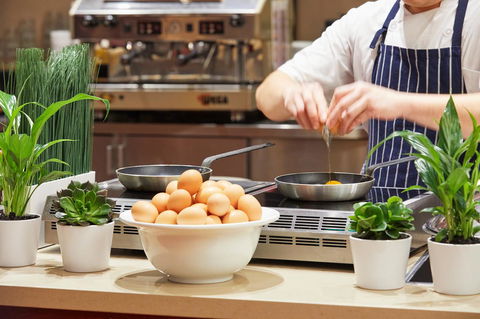 Novotel Perth Langley - Accommodation Redcliffe 5