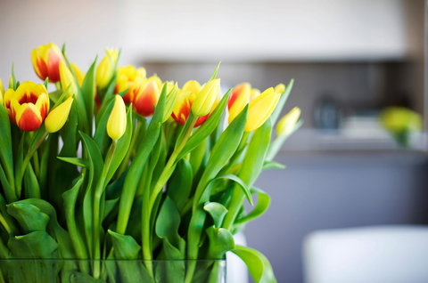 Claremont Quarter Luxury Apartment - Accommodation Redcliffe 11