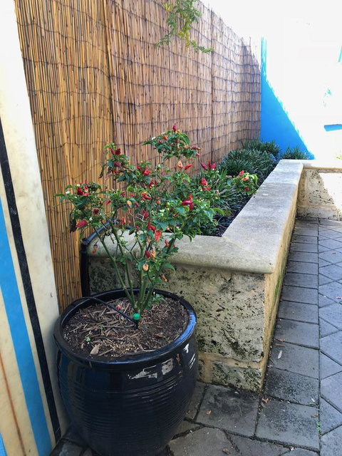 BeachHideaway@Scarborough - Accommodation Redcliffe 33
