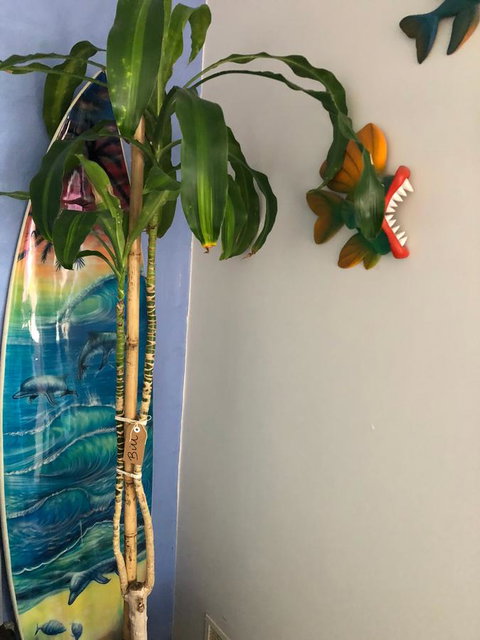 BeachHideaway@Scarborough - Accommodation Redcliffe 28