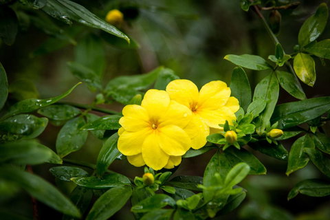 Riverglen Chalets - Accommodation Redcliffe 44