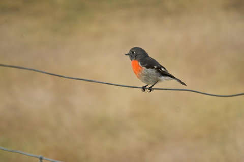 Riverglen Chalets - Accommodation Redcliffe 43