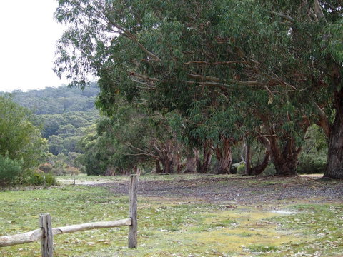 Riverside Retreat Chalets, Walpole - Accommodation Redcliffe 17