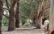 Riverside Retreat Chalets, Walpole - thumb 16