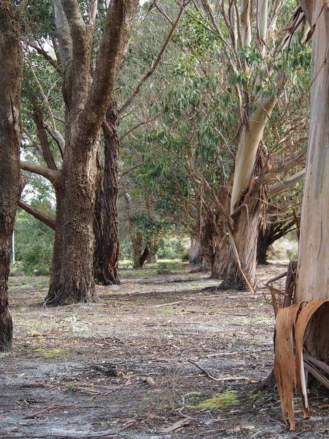 Riverside Retreat Chalets, Walpole - Accommodation Redcliffe 16