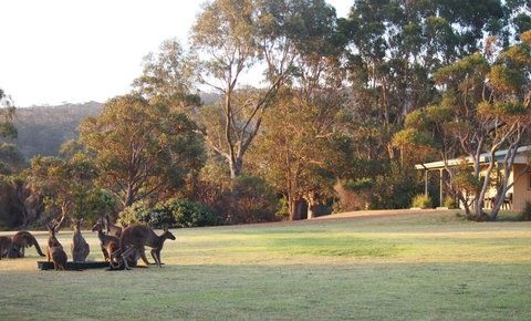 Riverside Retreat Chalets, Walpole - Accommodation Redcliffe 0