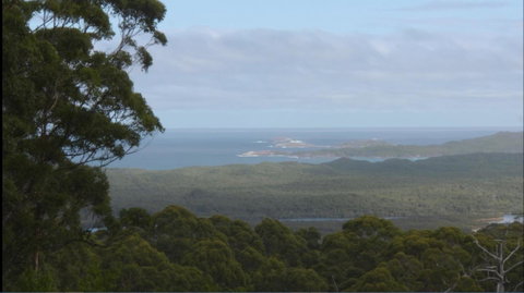 Riverside Retreat Chalets, Walpole - Accommodation Redcliffe 30