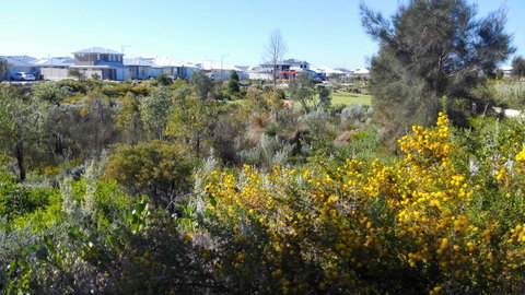 Alkimos Beach Cottage - Accommodation Redcliffe 3