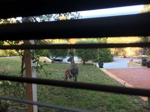 Seatrees Accommodation - Accommodation Redcliffe 37