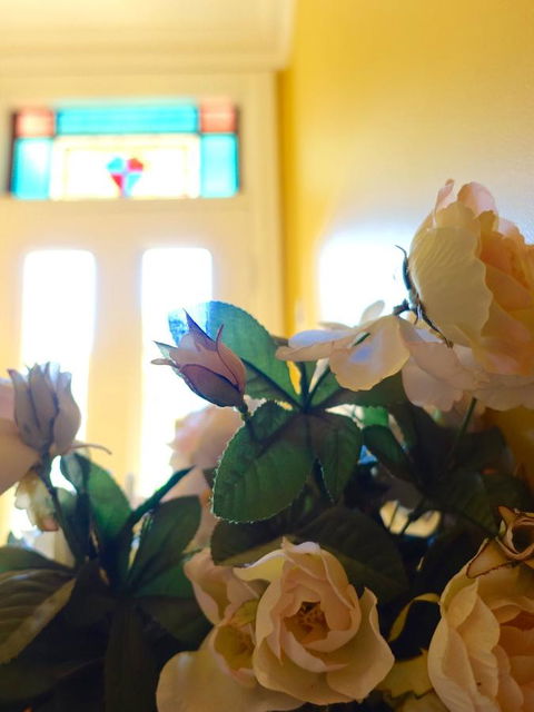 The Blacksmiths Cottage - Accommodation Redcliffe 16