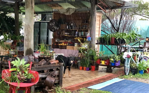 Kellers Bed And Breakfast - Accommodation Redcliffe 20