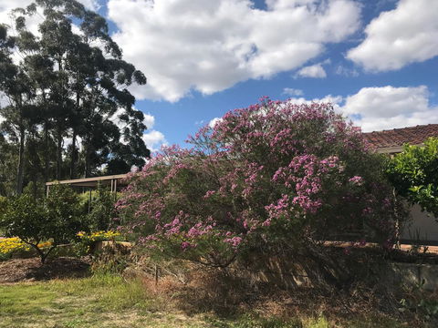 Cockburn Retreat Home æŸæ–¯æ‚ é–’æ°‘å®¿ - Accommodation Redcliffe 0