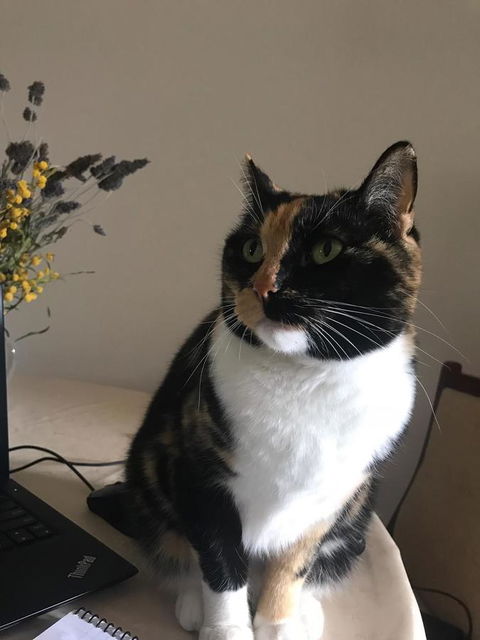 Cockburn Retreat Home æŸæ–¯æ‚ é–’æ°‘å®¿ - Accommodation Redcliffe 29