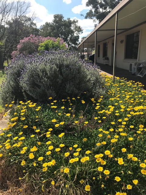 Cockburn Retreat Home æŸæ–¯æ‚ é–’æ°‘å®¿ - Accommodation Redcliffe 3