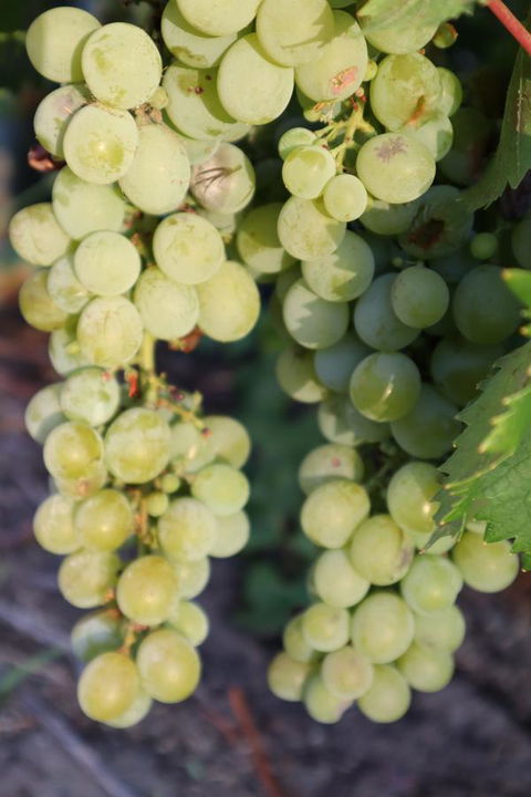 Cockburn Retreat Home æŸæ–¯æ‚ é–’æ°‘å®¿ - Accommodation Redcliffe 26