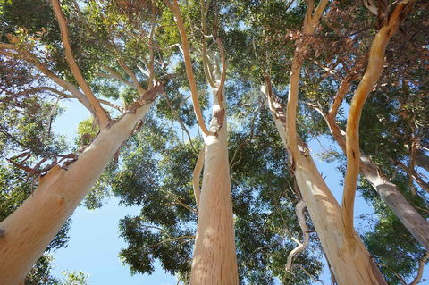 Cockburn Retreat Home æŸæ–¯æ‚ é–’æ°‘å®¿ - Accommodation Redcliffe 19