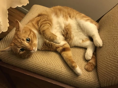 Cockburn Retreat Home æŸæ–¯æ‚ é–’æ°‘å®¿ - Accommodation Redcliffe 28