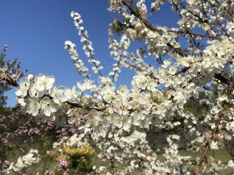 Cockburn Retreat Home æŸæ–¯æ‚ é–’æ°‘å®¿ - Accommodation Redcliffe 27