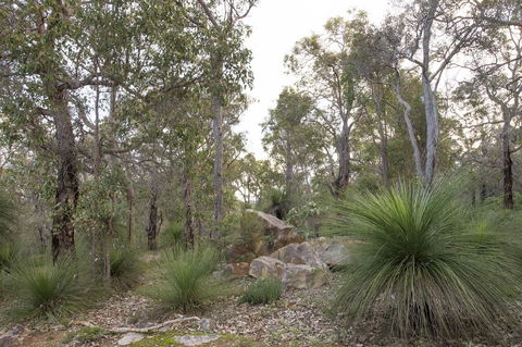 A Hidden Bush Delight - Accommodation Redcliffe 23