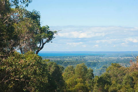 A Hidden Bush Delight - Accommodation Redcliffe 31