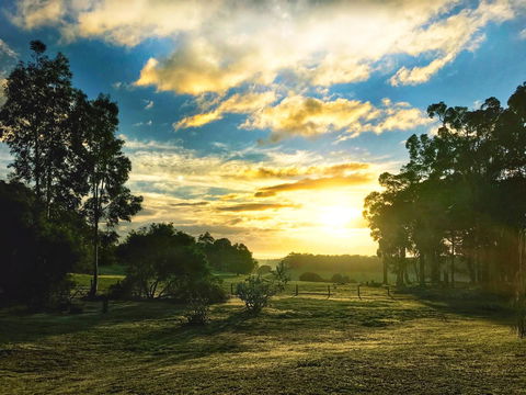 For The Birds Yallingup - Accommodation Redcliffe 23